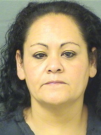  NEREYDA GOMEZBORJA Results from Palm Beach County Florida for  NEREYDA GOMEZBORJA