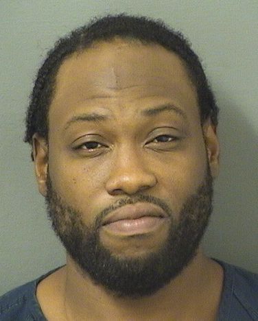  RONALD CELESTIN Results from Palm Beach County Florida for  RONALD CELESTIN