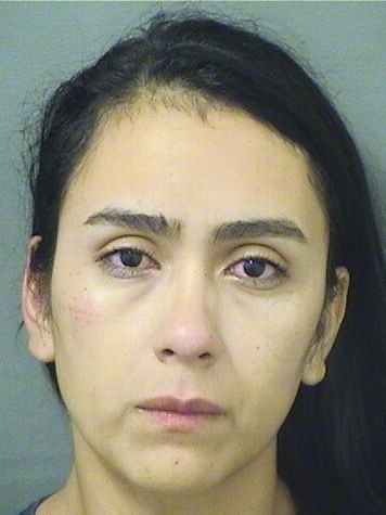  DIANA YARLIN VALENTIN Results from Palm Beach County Florida for  DIANA YARLIN VALENTIN