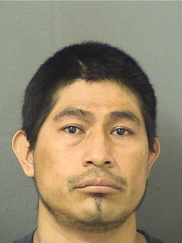  MARIO SALESVELESQUAZ Resultados de la busqueda para Palm Beach County Florida para  MARIO SALESVELESQUAZ