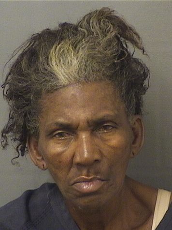  CYNTHIA M ANDERSON Resultados de la busqueda para Palm Beach County Florida para  CYNTHIA M ANDERSON