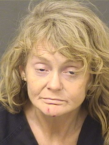  LAURA MARIE RIZZI Resultados de la busqueda para Palm Beach County Florida para  LAURA MARIE RIZZI