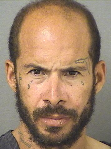  ALEX JOSEPH MEITH Resultados de la busqueda para Palm Beach County Florida para  ALEX JOSEPH MEITH