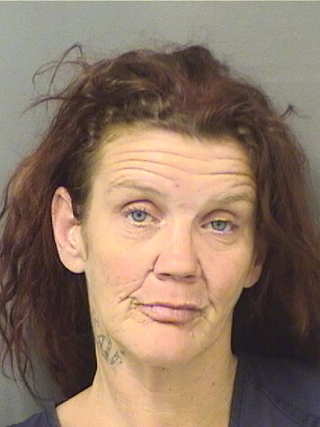  LISA M SHEERER Photo For  LISA M SHEERER