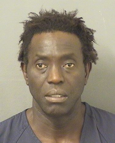  JAMES JEANPAUL Results from Palm Beach County Florida for  JAMES JEANPAUL