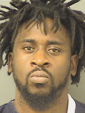  DANIEL ALEZIE Results from Palm Beach County Florida for  DANIEL ALEZIE