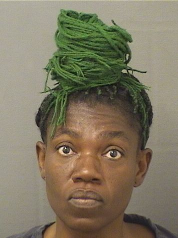  SANDRA NORZERON Resultados de la busqueda para Palm Beach County Florida para  SANDRA NORZERON