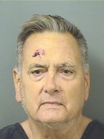  JERAULD WILCOX IV CARRON Resultados de la busqueda para Palm Beach County Florida para  JERAULD WILCOX IV CARRON