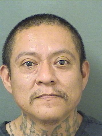  INES J ANDRES Resultados de la busqueda para Palm Beach County Florida para  INES J ANDRES