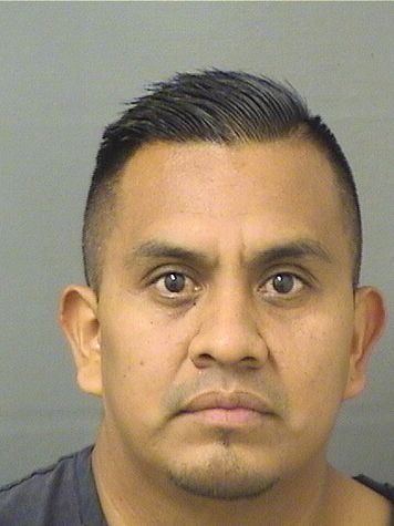  RONI LOPEZCARRILLO Resultados de la busqueda para Palm Beach County Florida para  RONI LOPEZCARRILLO