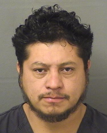  GADIEL SALASGONZALEZ Resultados de la busqueda para Palm Beach County Florida para  GADIEL SALASGONZALEZ