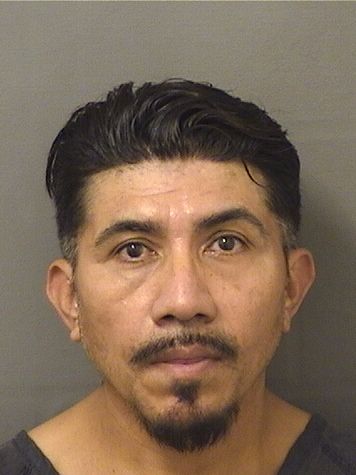  SANTOS ISRRAEL CERNARAMOS Results from Palm Beach County Florida for  SANTOS ISRRAEL CERNARAMOS