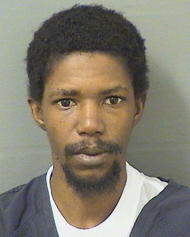  EDDY JHON WESLEY ETIENNE Results from Palm Beach County Florida for  EDDY JHON WESLEY ETIENNE