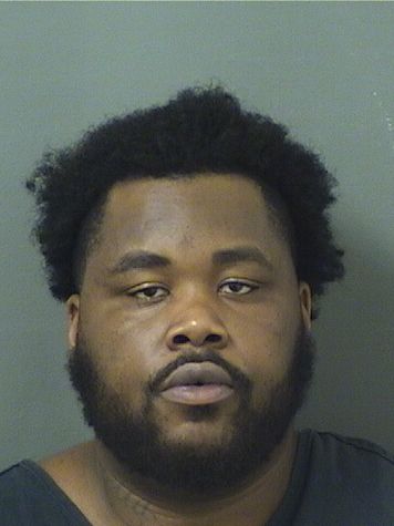  DEANDRE L BELL Results from Palm Beach County Florida for  DEANDRE L BELL