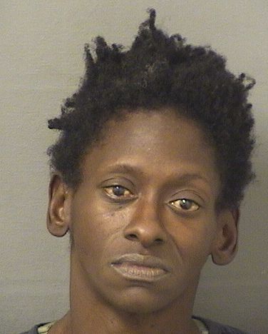  SHANTELLE DARIALLE HENDRIX Resultados de la busqueda para Palm Beach County Florida para  SHANTELLE DARIALLE HENDRIX