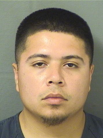  LUIS ZECCA Resultados de la busqueda para Palm Beach County Florida para  LUIS ZECCA