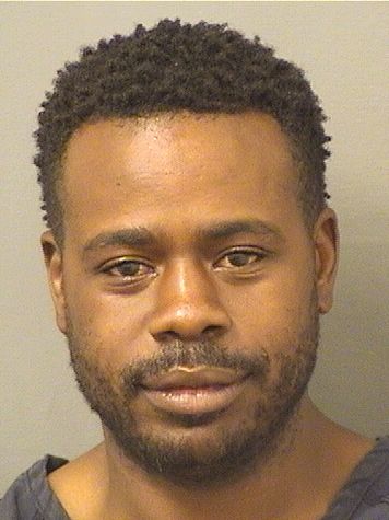  WILLIE JAMES III JOHNSON Results from Palm Beach County Florida for  WILLIE JAMES III JOHNSON