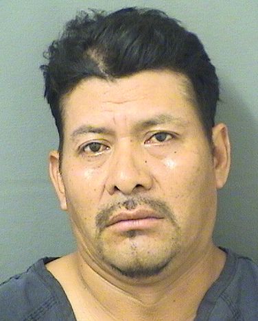  ARMANDO LOPEZDOMINGO Resultados de la busqueda para Palm Beach County Florida para  ARMANDO LOPEZDOMINGO