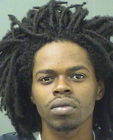  LEVINSON CHARLES Resultados de la busqueda para Palm Beach County Florida para  LEVINSON CHARLES