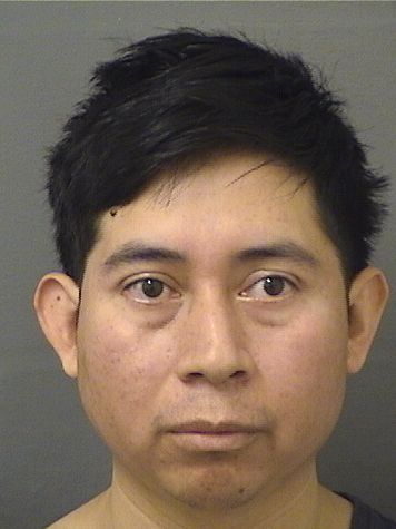  PEDRO PELICO Resultados de la busqueda para Palm Beach County Florida para  PEDRO PELICO