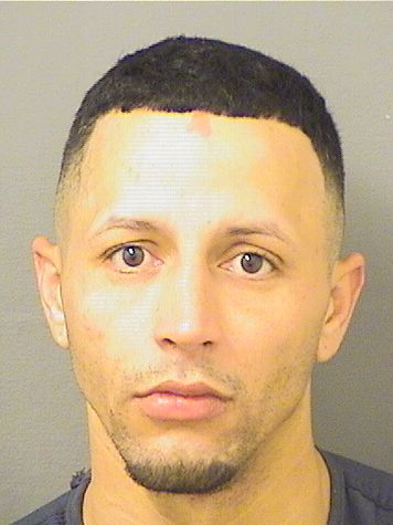  JUAN PAYAMPSARACENA Resultados de la busqueda para Palm Beach County Florida para  JUAN PAYAMPSARACENA