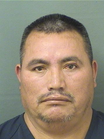  SALVADOR JIMENEZHERNANDEZ Resultados de la busqueda para Palm Beach County Florida para  SALVADOR JIMENEZHERNANDEZ