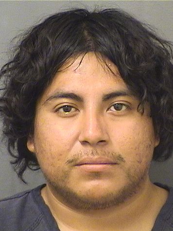  LEONEL D DIEGOMANUEL Resultados de la busqueda para Palm Beach County Florida para  LEONEL D DIEGOMANUEL