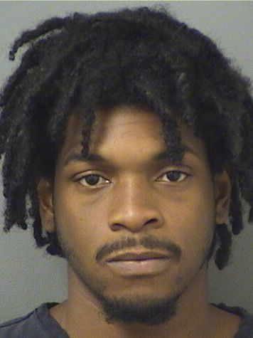  AARON DEMETRIES Jr HAYES Resultados de la busqueda para Palm Beach County Florida para  AARON DEMETRIES Jr HAYES