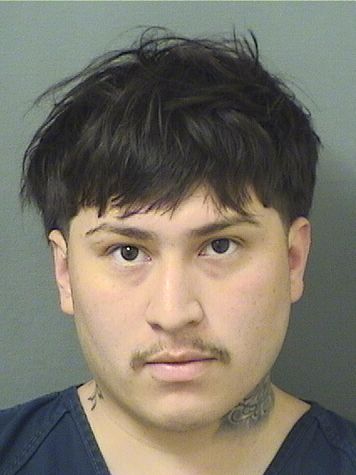  JOHHAN ALEXANDER MARTINEZ Resultados de la busqueda para Palm Beach County Florida para  JOHHAN ALEXANDER MARTINEZ