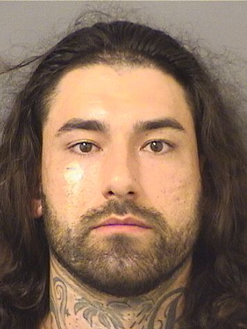  ERIC MELNIK Resultados de la busqueda para Palm Beach County Florida para  ERIC MELNIK