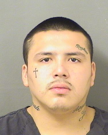  RAYMOND CHARLES III STEWARD Resultados de la busqueda para Palm Beach County Florida para  RAYMOND CHARLES III STEWARD