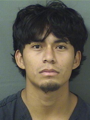  DENIS F ALVAMATIAS Results from Palm Beach County Florida for  DENIS F ALVAMATIAS