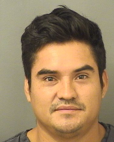  BALTAZAR DELEONDOMINGO Resultados de la busqueda para Palm Beach County Florida para  BALTAZAR DELEONDOMINGO