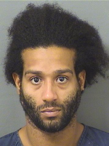  ADRON ANTONIO BARKSDALELEON Resultados de la busqueda para Palm Beach County Florida para  ADRON ANTONIO BARKSDALELEON