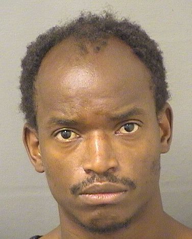  DIEUFERSON WOODLAIRE LACOMBE Resultados de la busqueda para Palm Beach County Florida para  DIEUFERSON WOODLAIRE LACOMBE