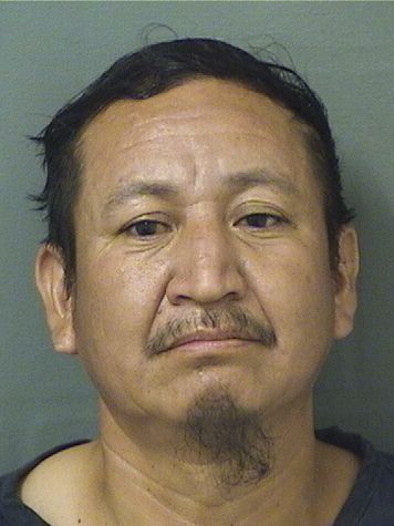  TOMAS LOPEZ Results from Palm Beach County Florida for  TOMAS LOPEZ