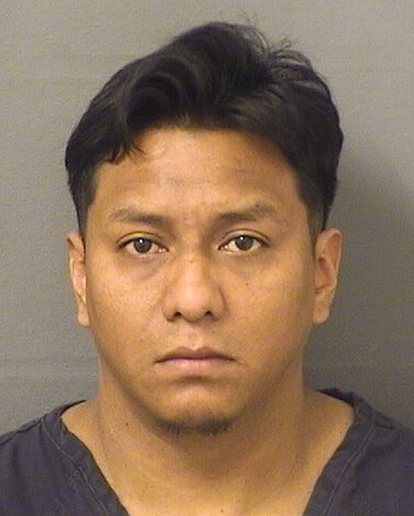  MARIO DAVID FUENTESARDIANO Resultados de la busqueda para Palm Beach County Florida para  MARIO DAVID FUENTESARDIANO