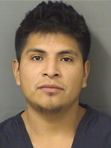  MIGUEL ANGEL VELASQUEZ CHILEL Resultados de la busqueda para Palm Beach County Florida para  MIGUEL ANGEL VELASQUEZ CHILEL