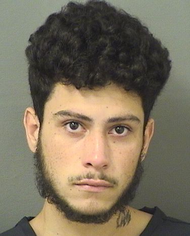  ALEXIS GOMEZ Results from Palm Beach County Florida for  ALEXIS GOMEZ