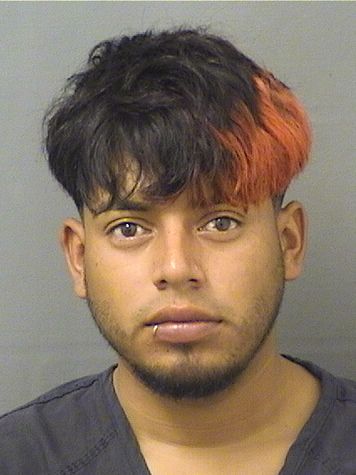  CARLOS ABEL CASTROULLOA Resultados de la busqueda para Palm Beach County Florida para  CARLOS ABEL CASTROULLOA