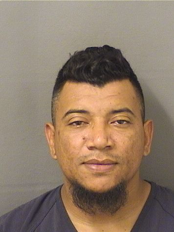  JORGE A CASTROBUSTILLO Resultados de la busqueda para Palm Beach County Florida para  JORGE A CASTROBUSTILLO