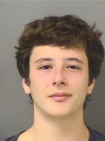  JEFFREY GEORGE ADELMAN Results from Palm Beach County Florida for  JEFFREY GEORGE ADELMAN