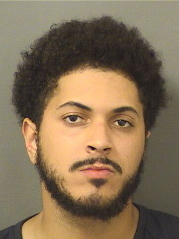  ANDRE CASTILLO Results from Palm Beach County Florida for  ANDRE CASTILLO