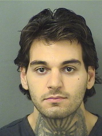  NICHOLAS AMERICO CARROCCIO Resultados de la busqueda para Palm Beach County Florida para  NICHOLAS AMERICO CARROCCIO