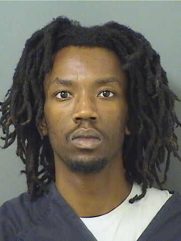  RUBIN ALLEN MICHEL Resultados de la busqueda para Palm Beach County Florida para  RUBIN ALLEN MICHEL