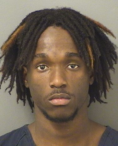  SCHNIEDER FIRMIN VICTOR Results from Palm Beach County Florida for  SCHNIEDER FIRMIN VICTOR