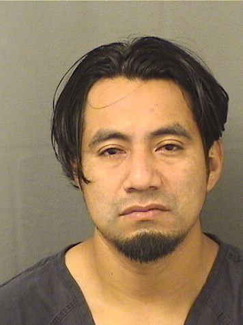  PEDRO ALVARADO Resultados de la busqueda para Palm Beach County Florida para  PEDRO ALVARADO