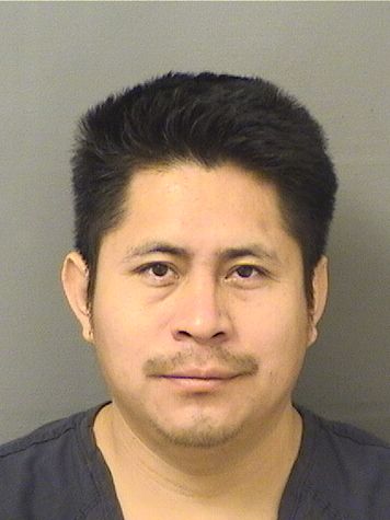  RICARDO ANDRESDOMINGO Resultados de la busqueda para Palm Beach County Florida para  RICARDO ANDRESDOMINGO