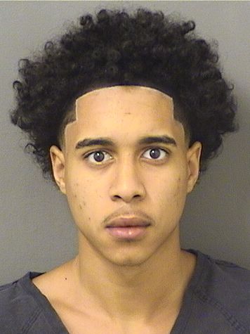  MAURICE J BROWN Resultados de la busqueda para Palm Beach County Florida para  MAURICE J BROWN