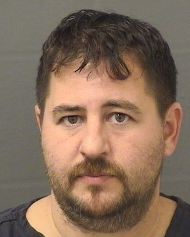  RYAN ERIC GOPIN Results from Palm Beach County Florida for  RYAN ERIC GOPIN